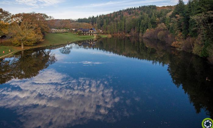 The Lake